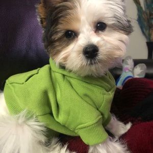 Meet your Posher, Misti